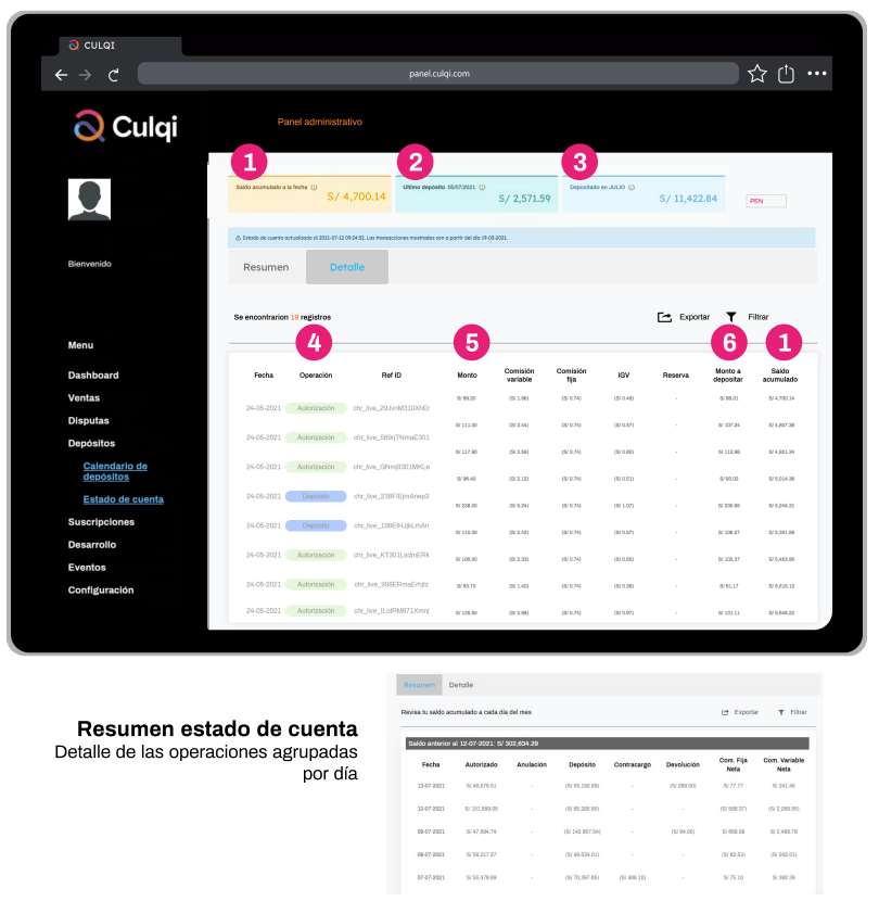 Panel Estado de cuenta